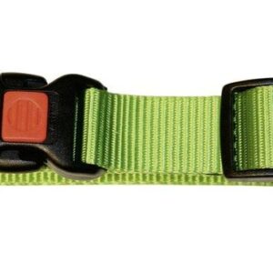 Obroża dla psa Miami, 45 - 65 cm x 25 mm, zielona, Kerbl