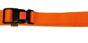 Obroża dla psa Miami, 45-65 cm x 25 mm, pomarańczowa, Kerbl
